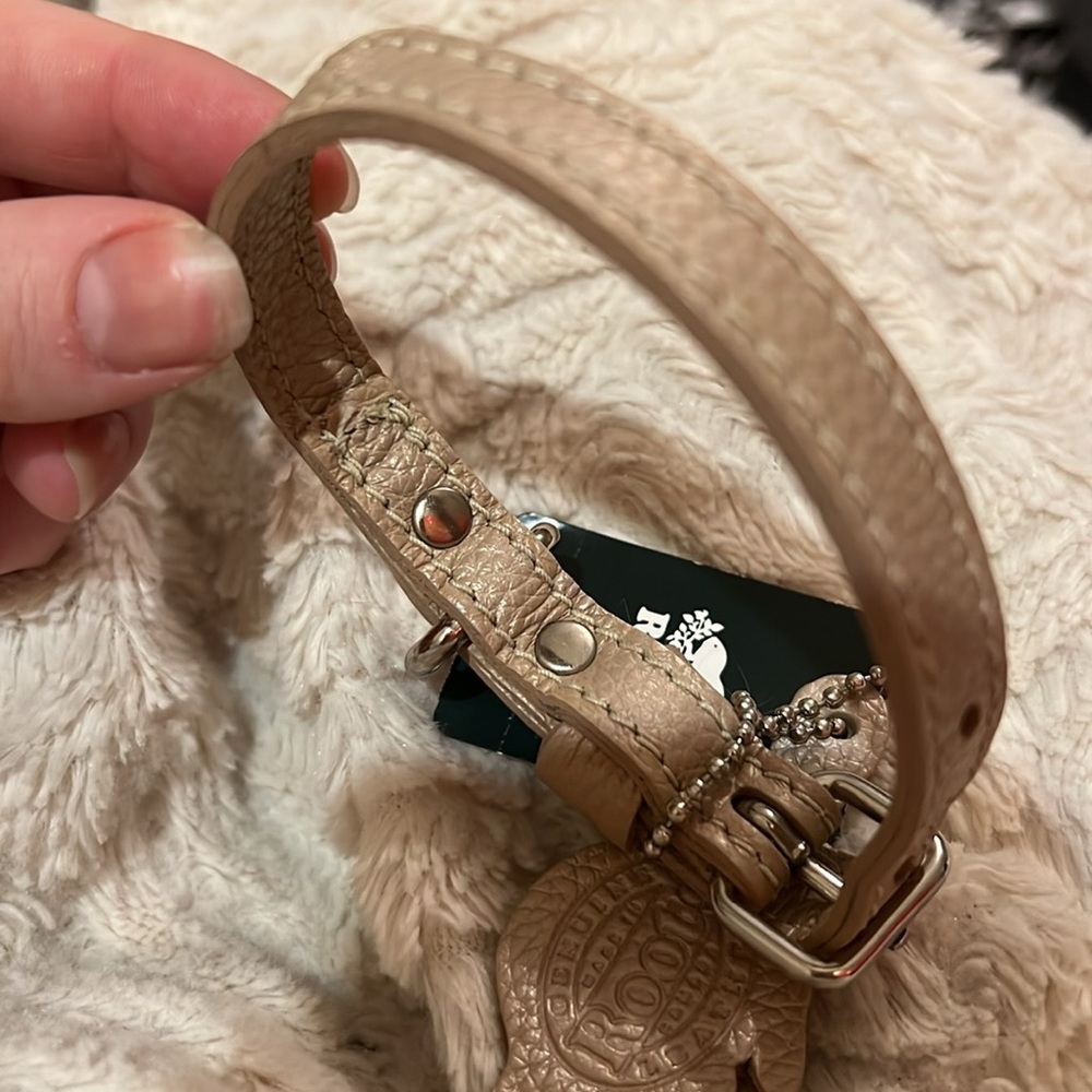 Roots Metallic Dog 🐕 or Cat 🐈 Leather Collar